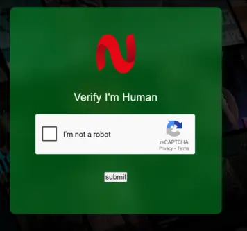 Human Verification